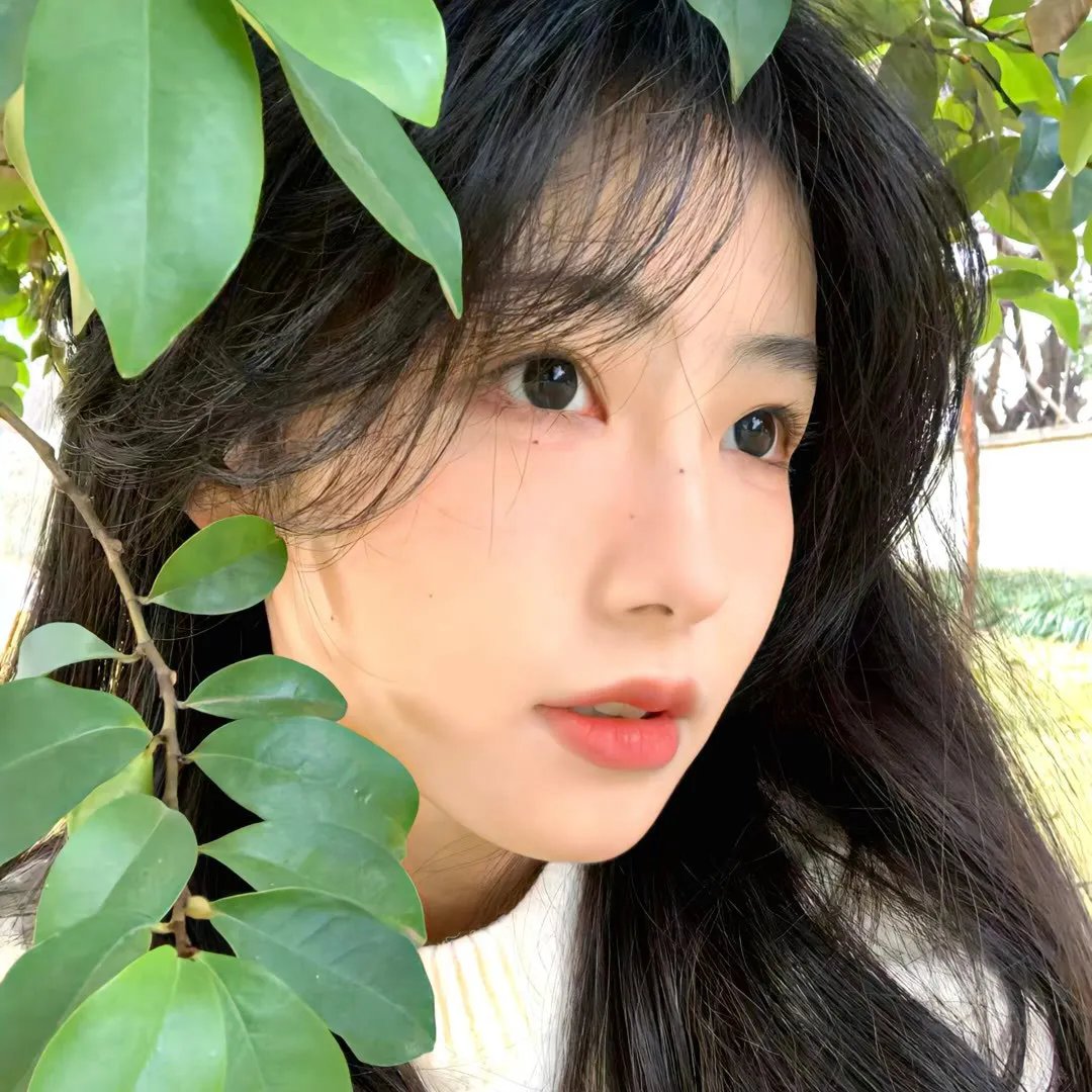 黑仙女